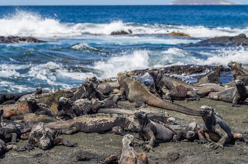 Galapagos Islands