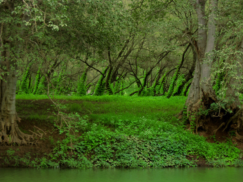 Salalah