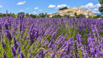 Provence