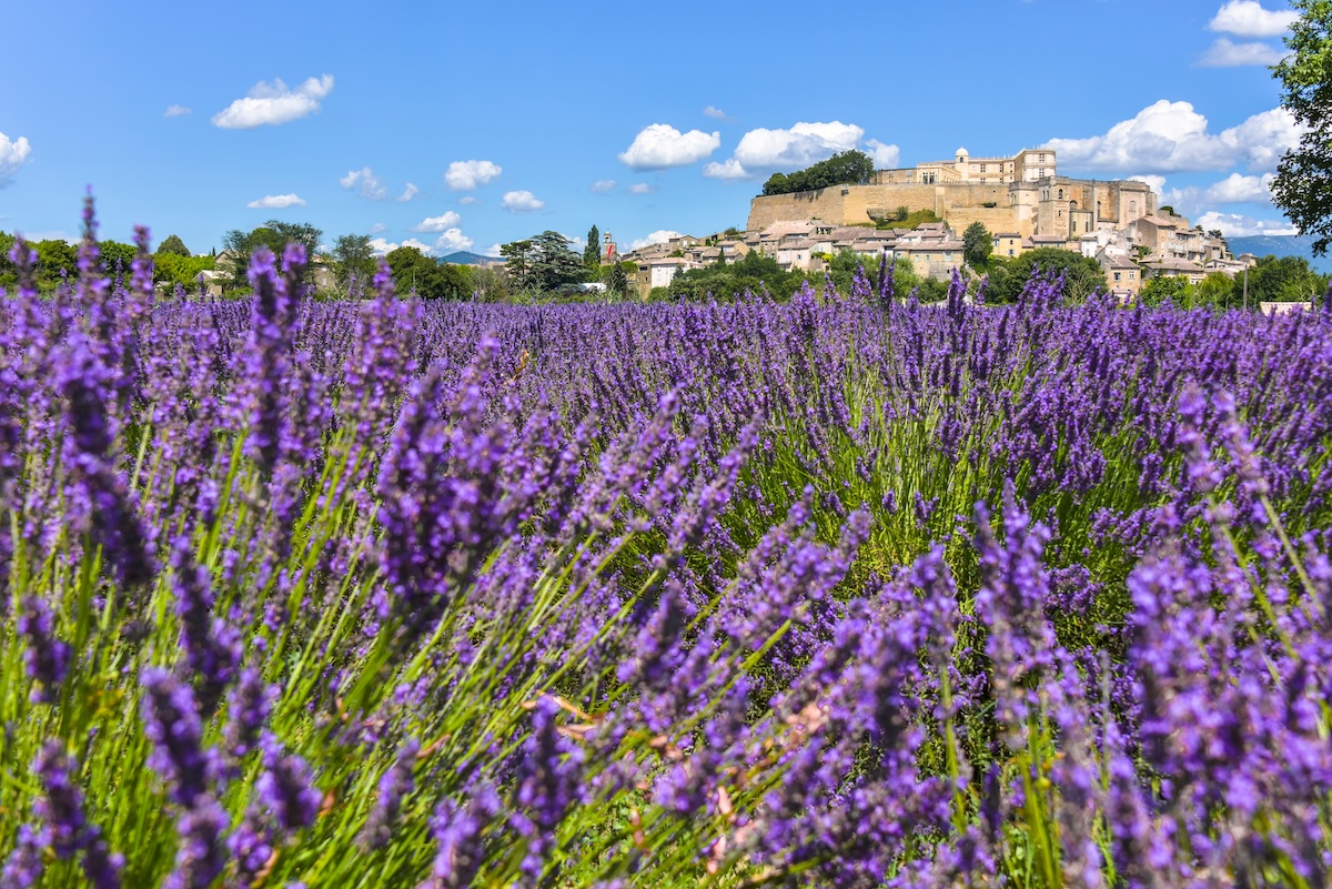 Provence