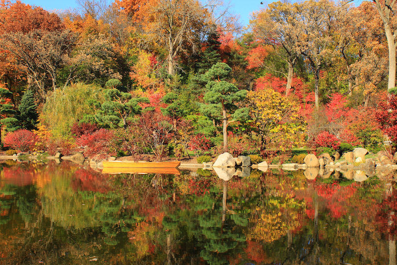 Anderson Japanese Gardens