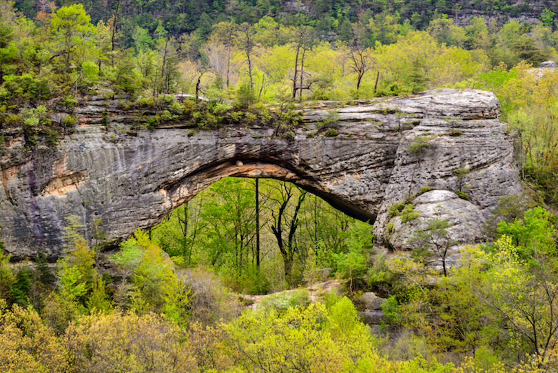 Big South Fork National River