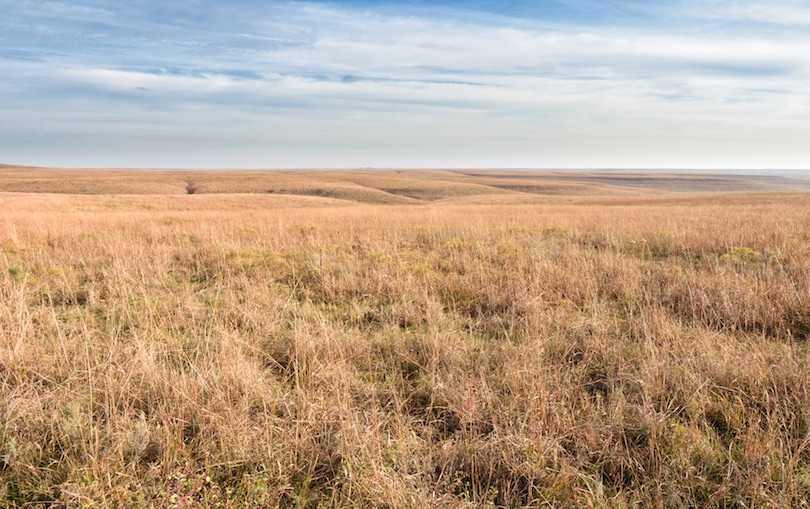 Tallgrass Prairie National Preserve