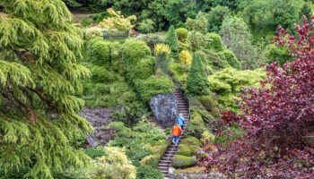 Butchart Gardens