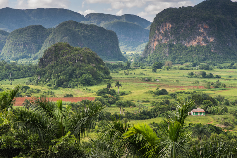 Vinales