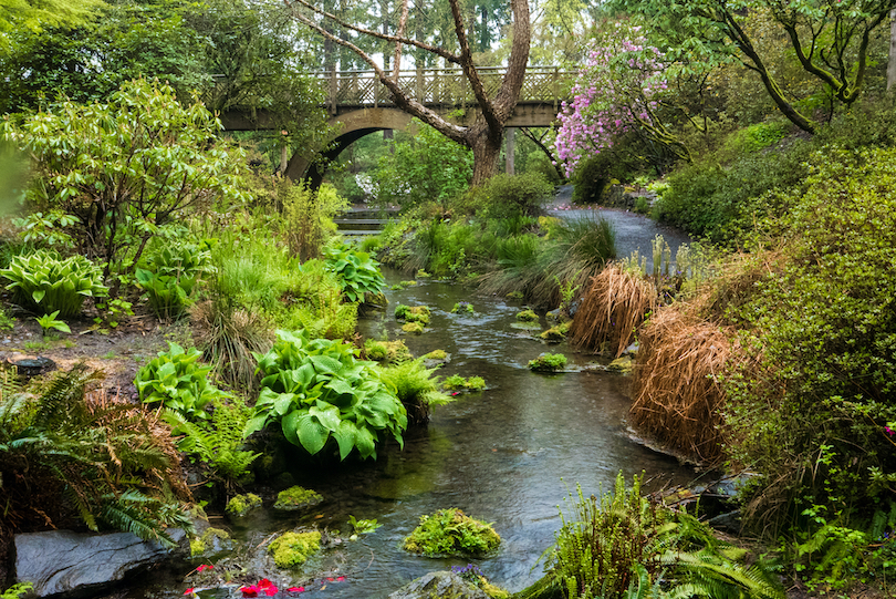 rystal Springs Rhododendron Garden