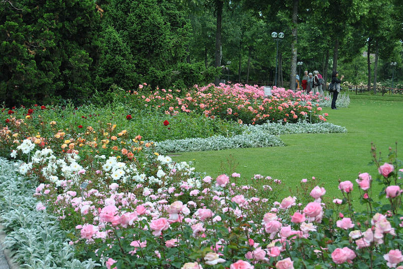 Rosengarten