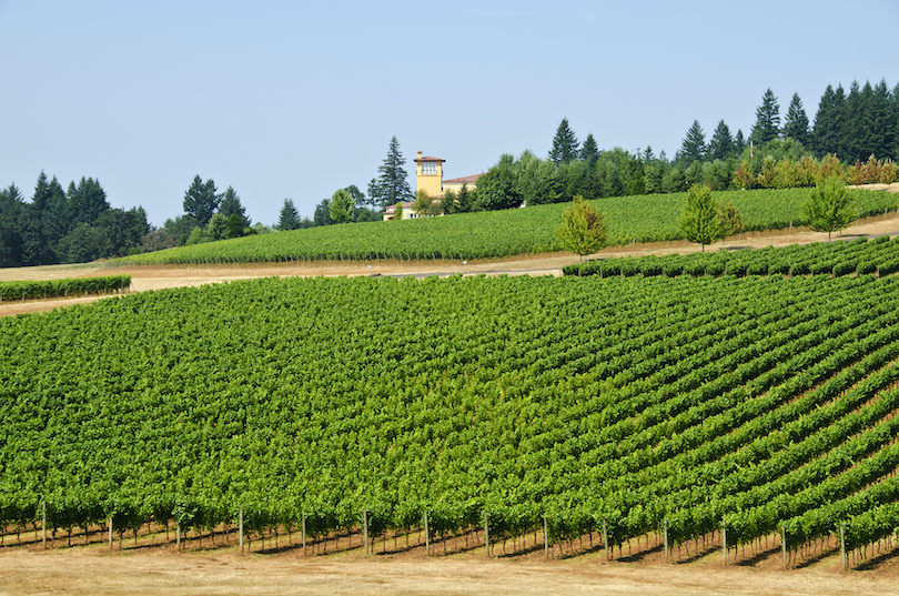 Willamette Valley Wine Tasting