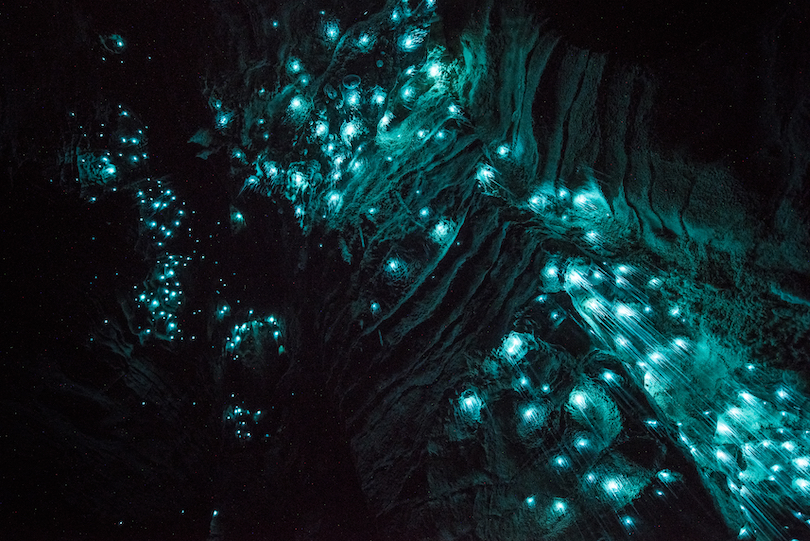 Waitomo Caves