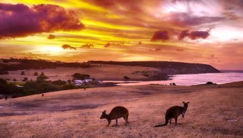 tourist attraction tasmania