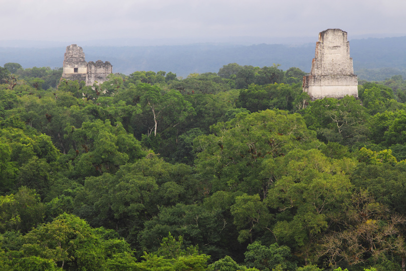 Ruinas mayas de Tikal en Guatemala