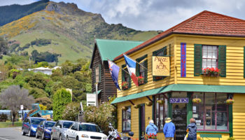 cool tourist attractions in new zealand