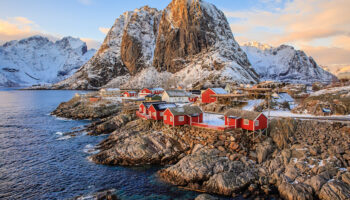 Reine
