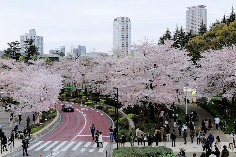 Tokyo well