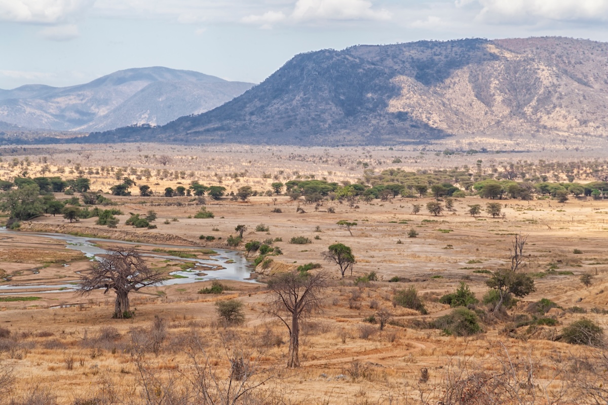 Ruaha National Park