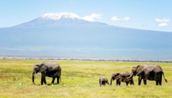 tourist attractions in tanzania africa