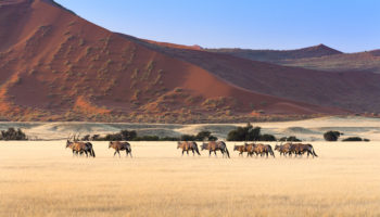 best places to visit in Namibia