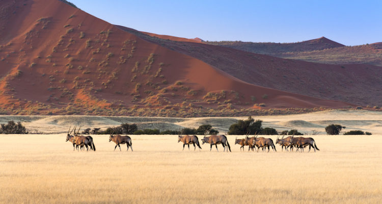 best places to visit in Namibia