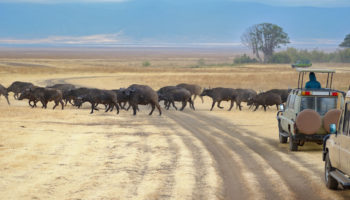 best tourist city in south africa