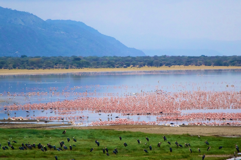 Lake Manyara National Park