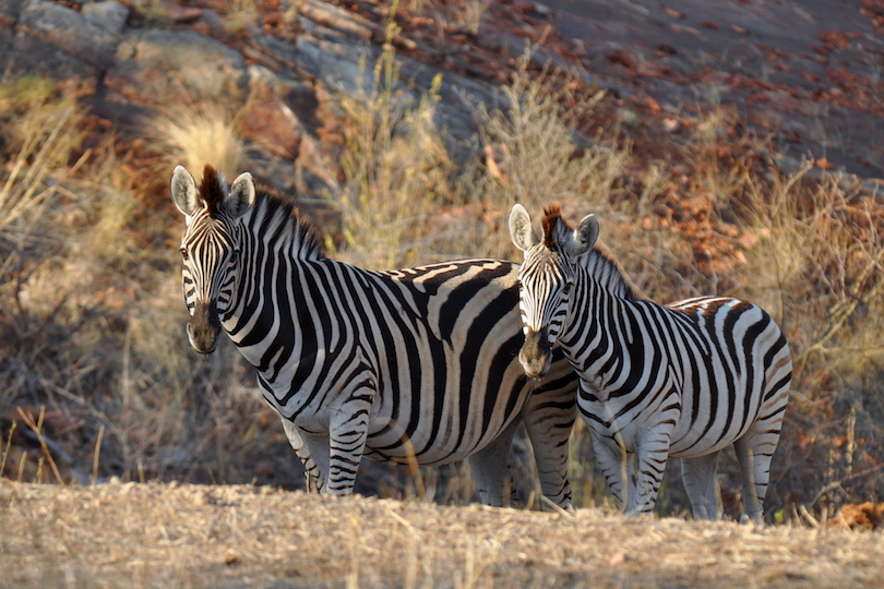 Mapungubwe National Park