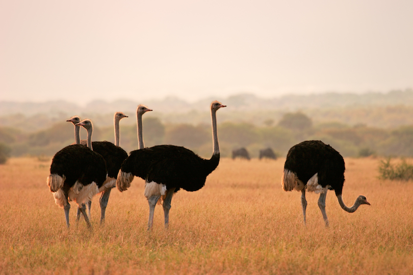 Marakele National Park