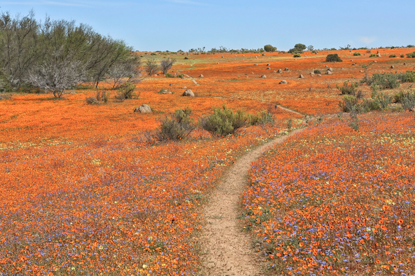 Namaqua National Park