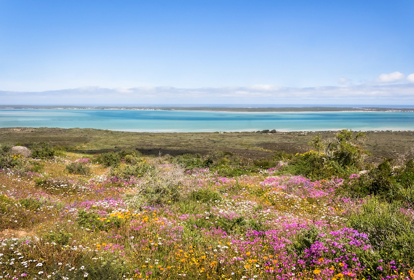 West Coast National Park