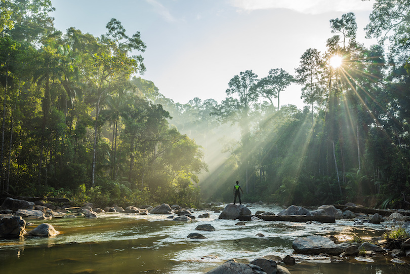 Endau-Rompin National Park