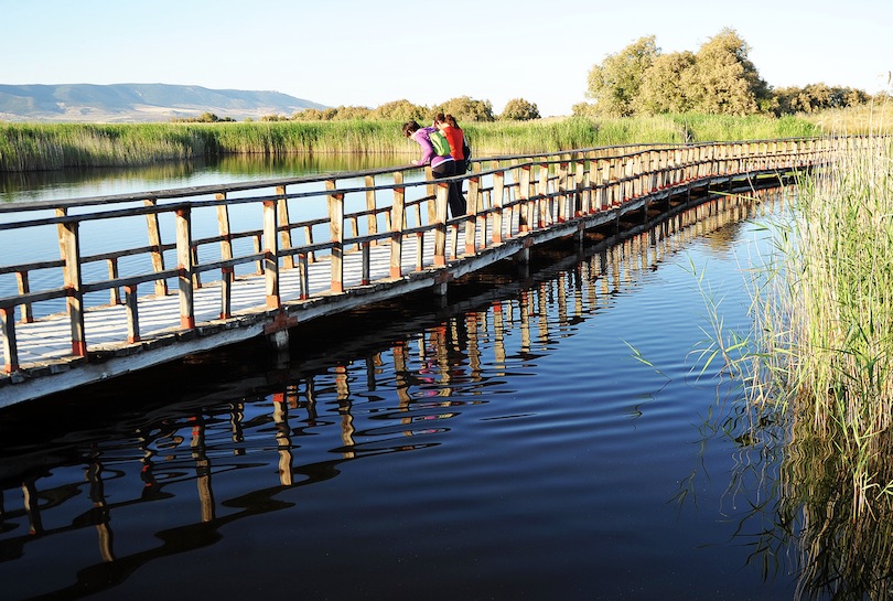 Tablas de Daimiel National Park