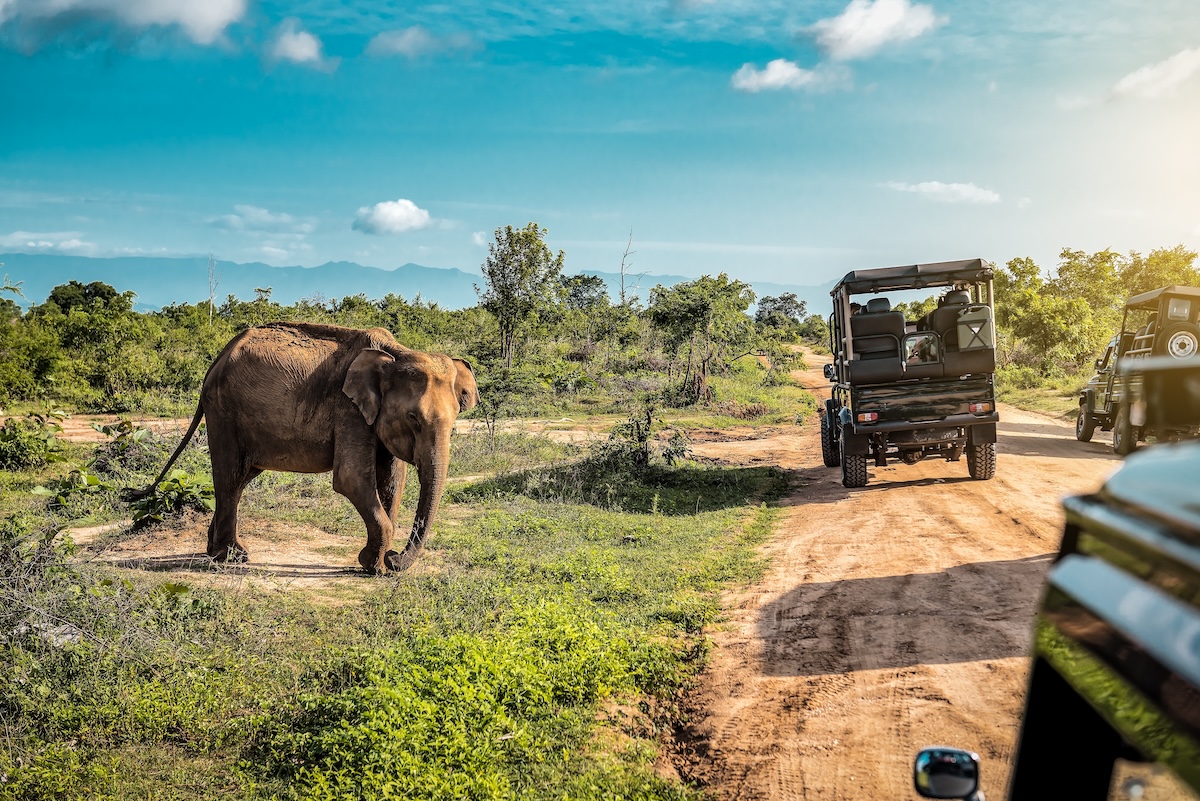 Udawalawe National Park