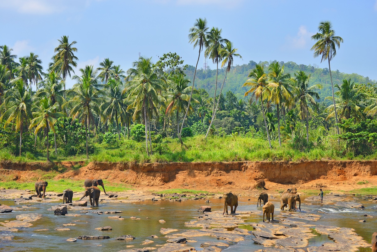 Yala National Park