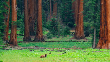 map of california tourist sites