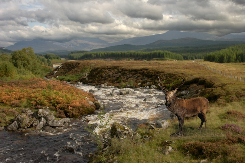 10 Most Beautiful National Parks And Reserves In Scotland (With Map) - Touropia