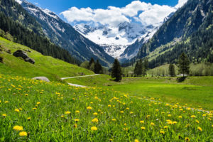 Regions in Austria