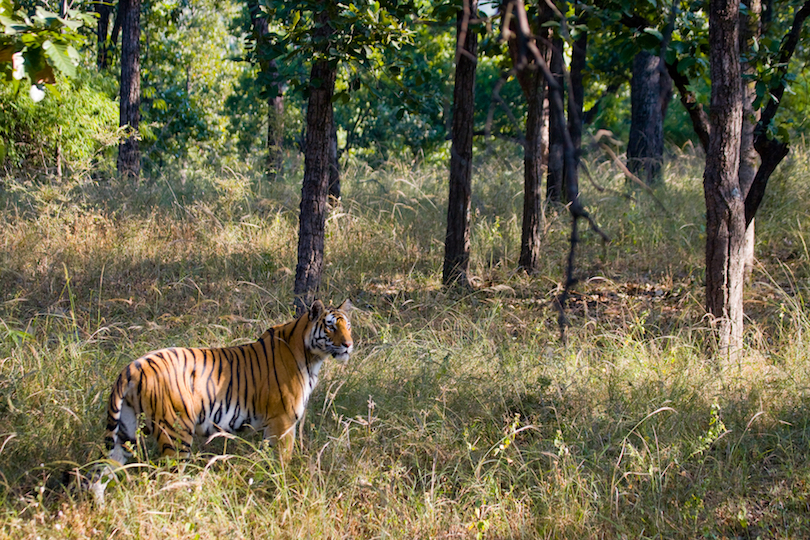 Madhya Pradesh