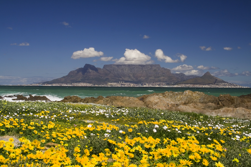 western cape