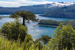 Conguillio National Park