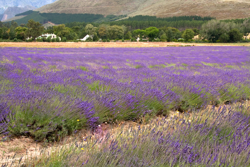 places to visit in Western Cape