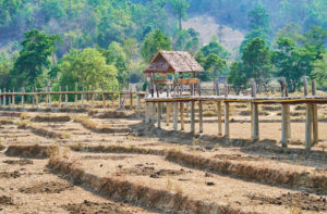 things to do in Pai