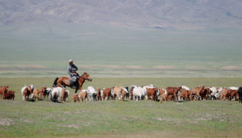 Best Places to Visit in Mongolia