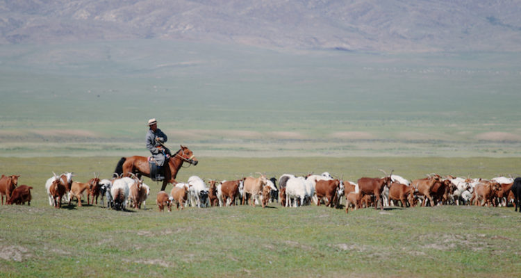 Best Places to Visit in Mongolia
