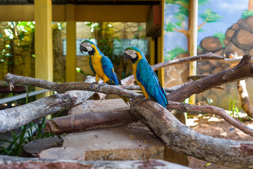 Langkawi Wildlife Park