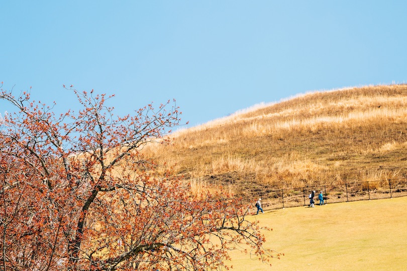 Mount Wakakusa