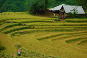 Best Things to do in Sapa