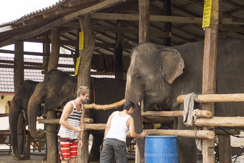 Campamento de elefantes Pai