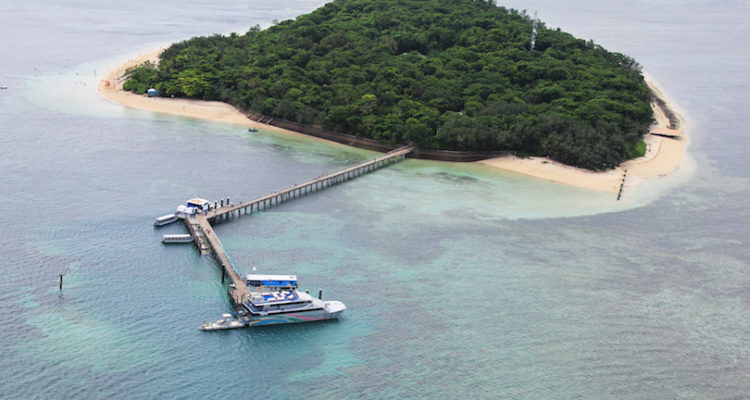 Best Things to do in Cairns