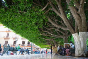 Jardin de la Union