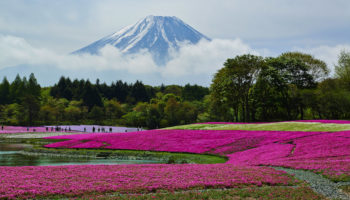 Japan