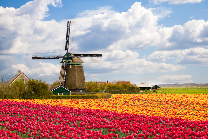 Netherlands